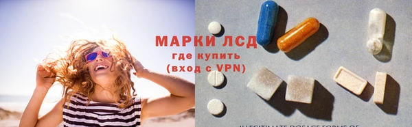 стаф Абаза