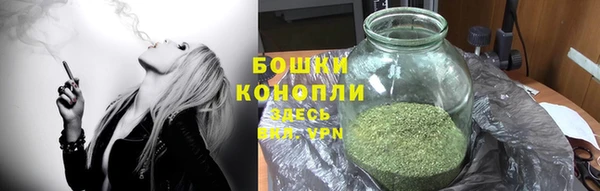 стаф Абаза