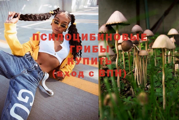 спайс Абдулино