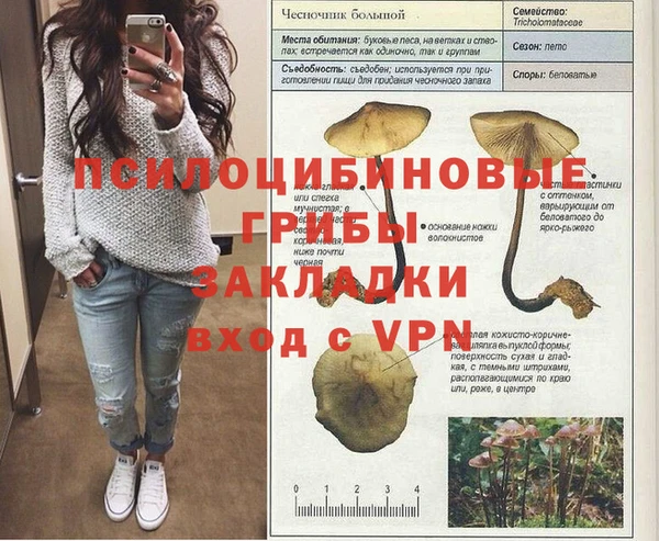 спайс Абдулино